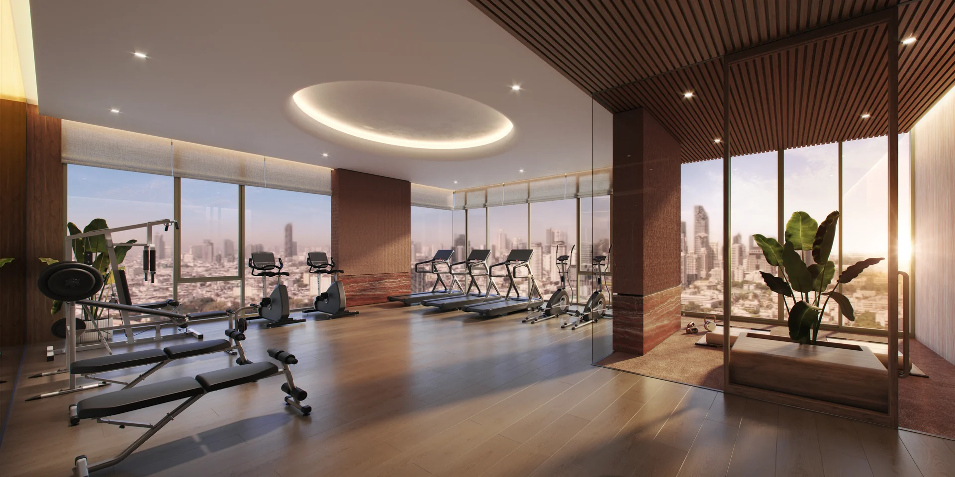 Fitness Suite